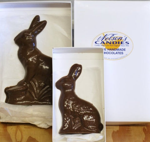 Easter (Chocolate Bunnies Assorted Sizes)